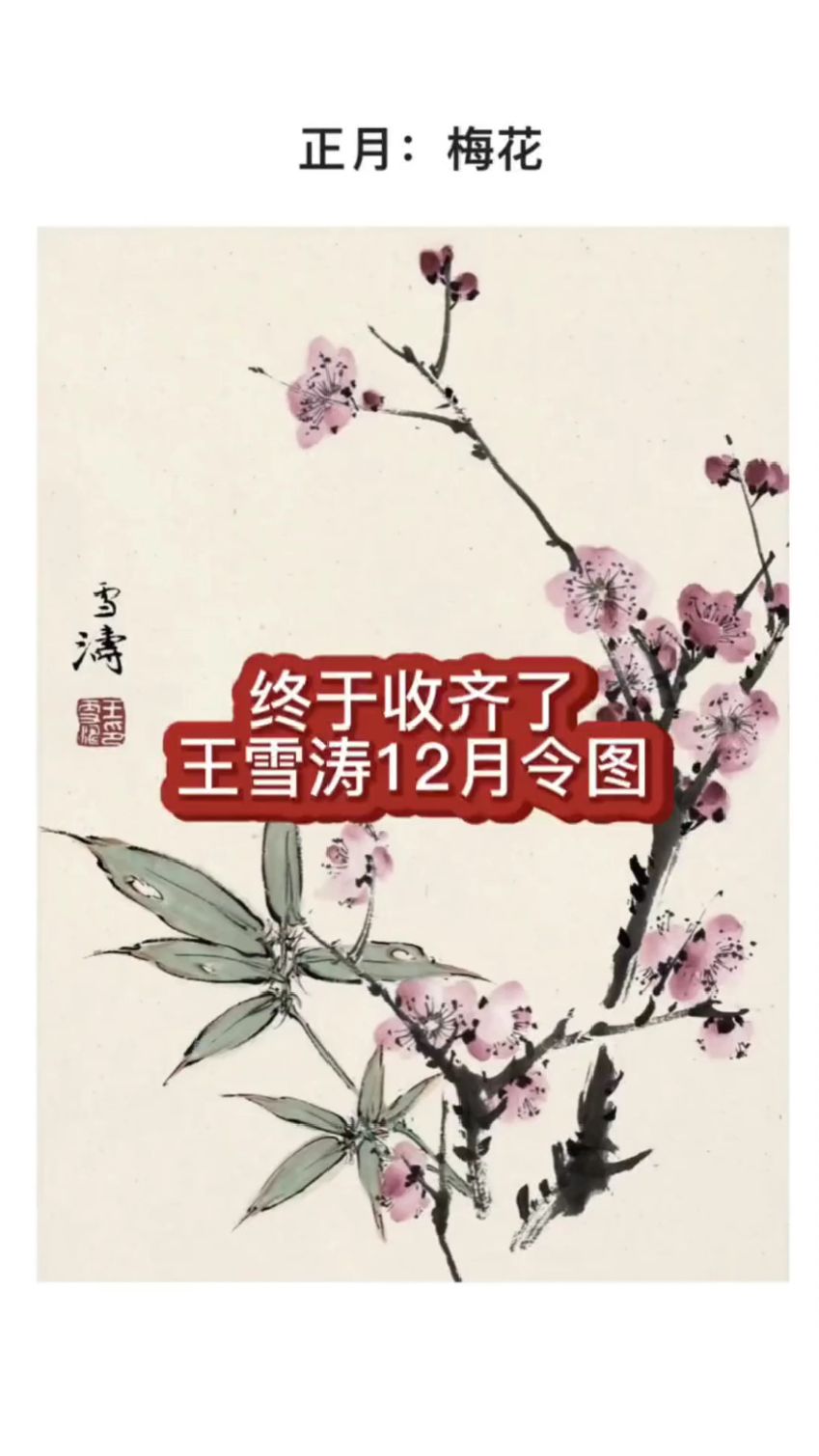终于收集齐了,王雪涛老师的12月令图