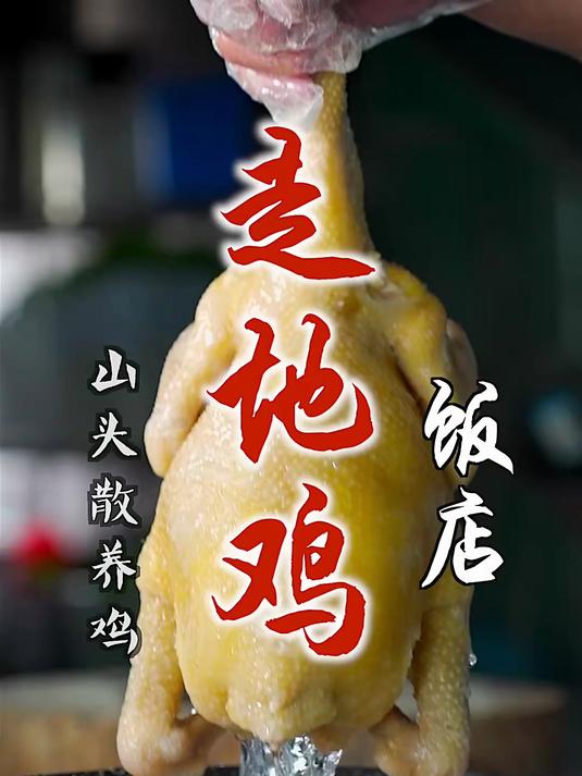 茂名走地鸡 藏在观珠乡道的走地鸡饭店,居然要煮80分钟再过冰水