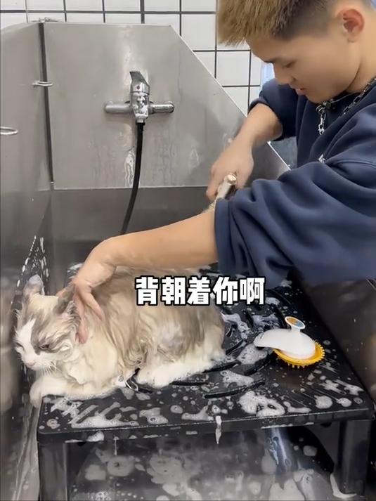 看似没问题 就怕冷不丁地给你来一下 关键为什么咬我胸呢