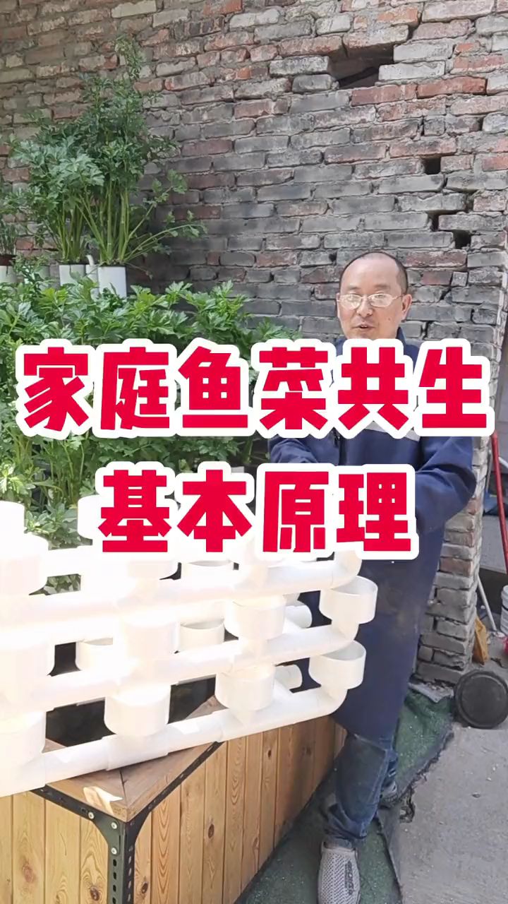 20秒看懂鱼菜共生基本原理