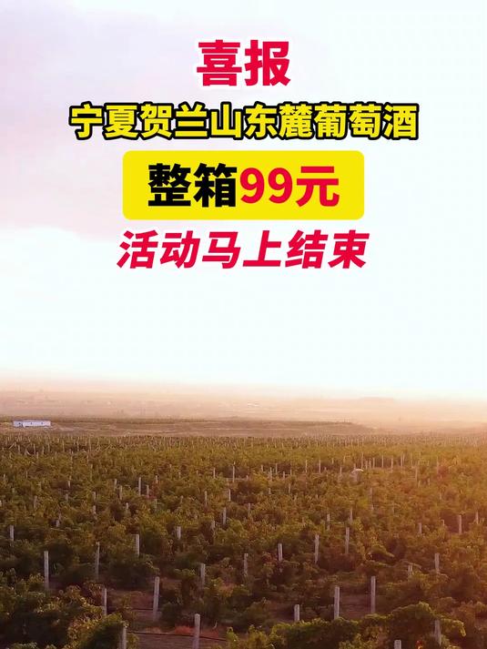 官方正品帝月国产正宗干红葡萄酒红酒干红宁夏贺兰山葡萄酒沁香