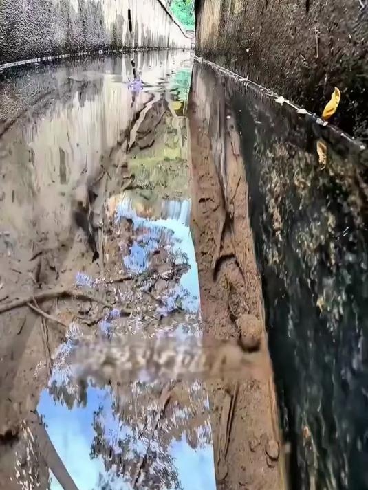 水下摄像头高清实拍溪鱼咬钩