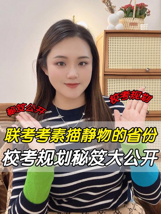 联考考素描静物的省份校考规划秘笈大公开