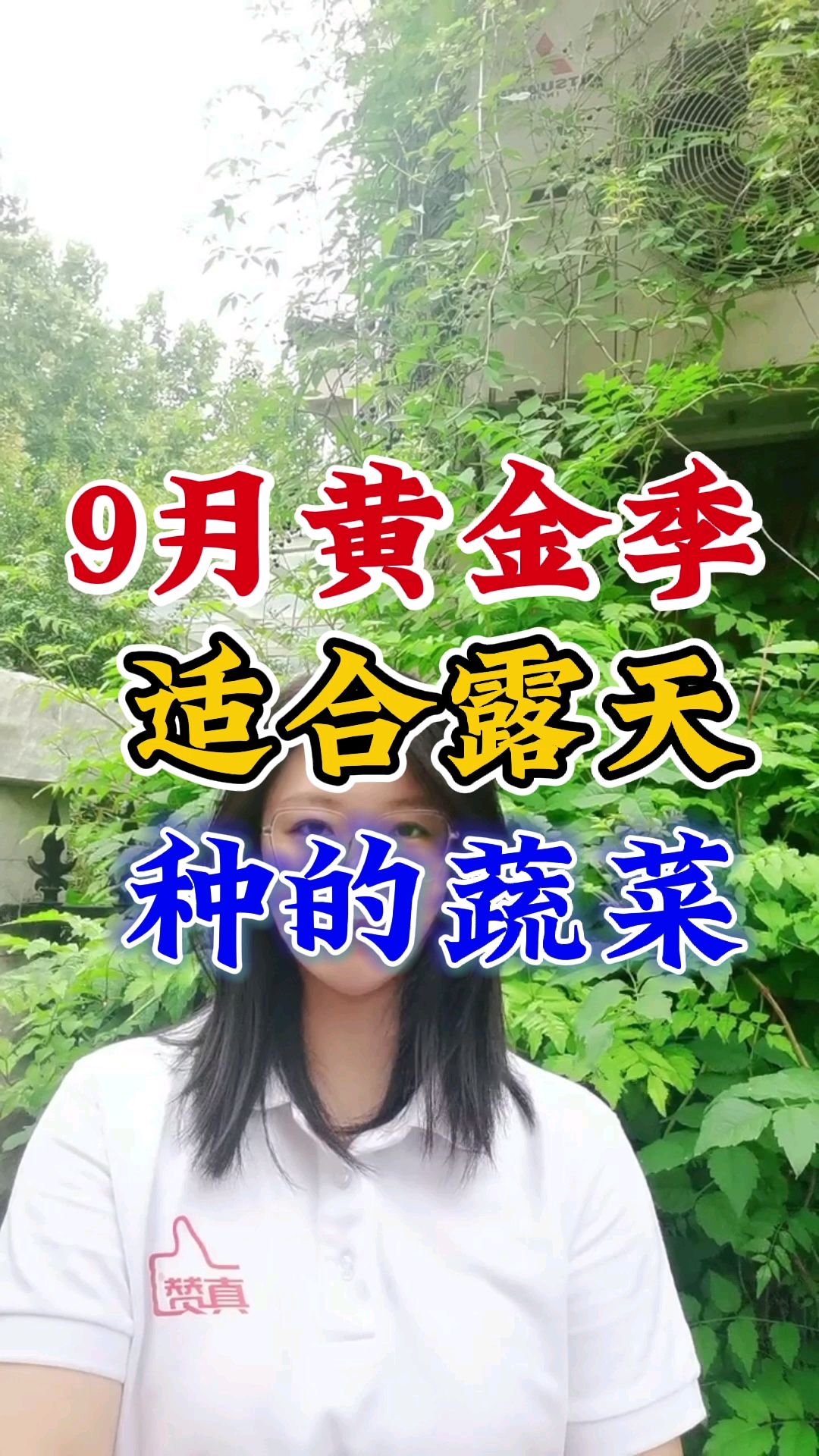 适合秋天黄金季露天种植的蔬菜都有什么？秋季蔬菜种植时间表
