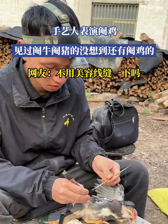 手艺人表演阉鸡,见过阉牛阉猪的没想到还有阉鸡的