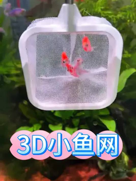 3D 小鱼捞,可伸缩变隔离盒,让养鱼超轻松!