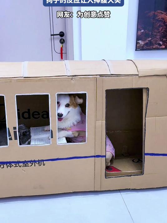 开始好好的，主人一句“狗肉火锅店”，狗子的反应让人捧腹大笑