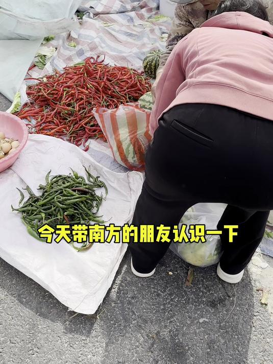 带南方朋友认识下东北的冬瓜