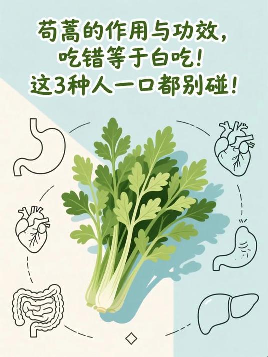 茼蒿的作用与功效,吃错等于白吃!这3种人一口都别碰!#健康扬帆季#