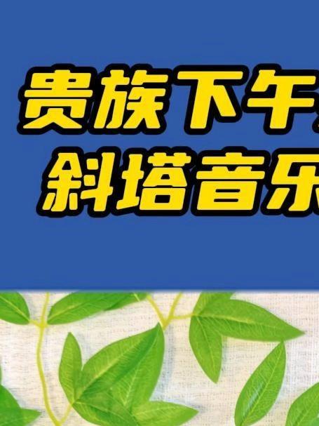 斜塔·音乐家白葡萄酒