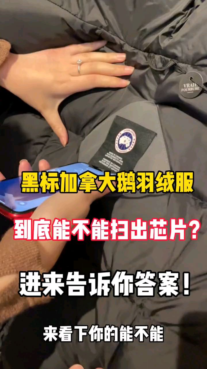 加拿大鹅石墨灰黑标