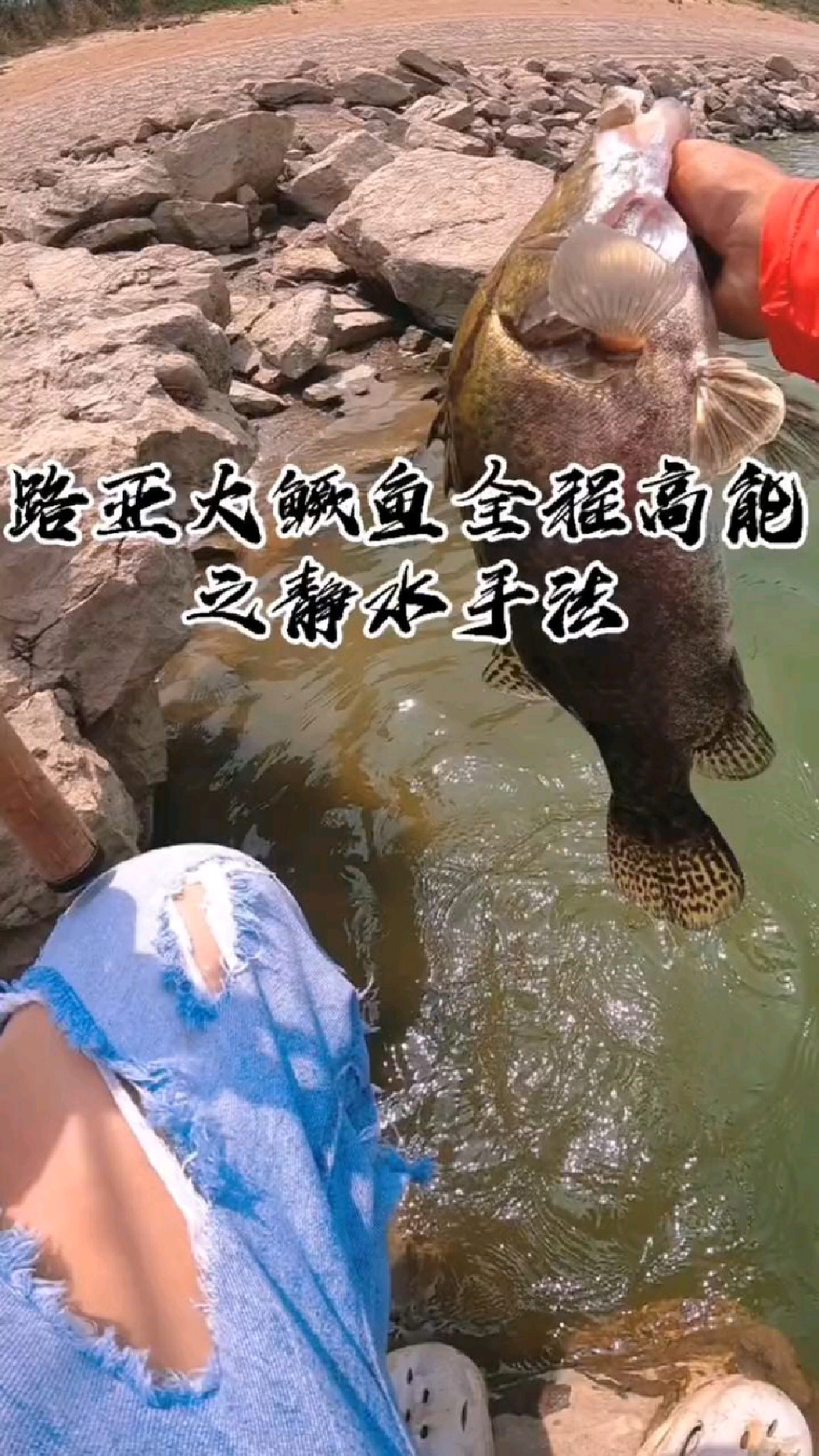 路亚大鳜鱼全程高能之静水手法!