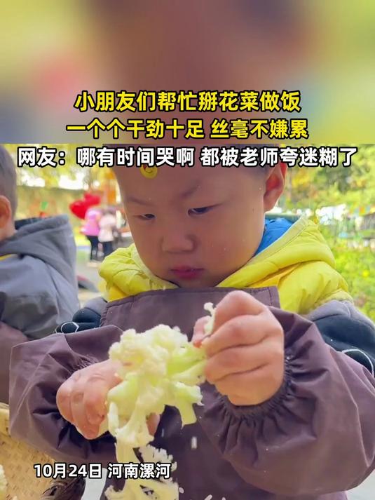 小朋友们帮忙掰花菜做饭,丝毫不嫌累,网友:哪有时间哭啊,都被老师夸迷糊了