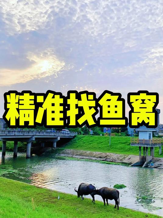 冬季野钓之——如何正确选择钓位，新手钓友速看！