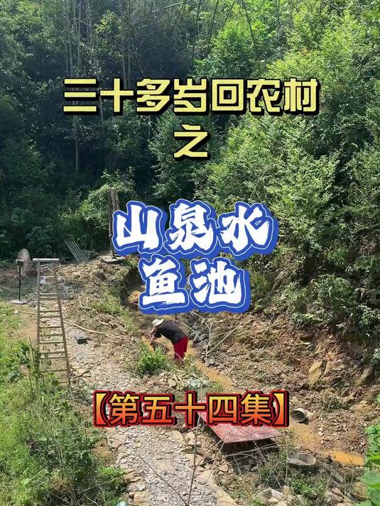 把屋后的山泉水引下来，做一个山泉水鱼池 先做一个沉淀池