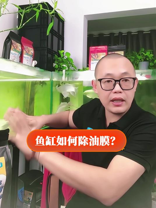 鱼缸如何除油膜?