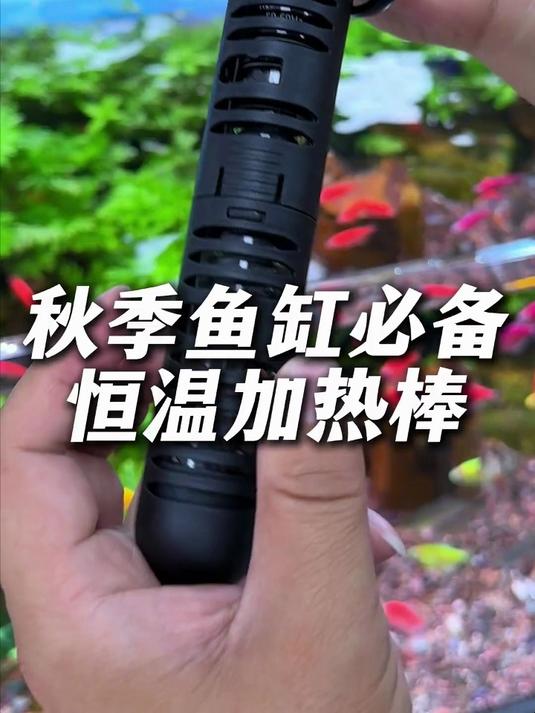 鱼缸加热棒怎么选 安全又省电 品牌有保障 还要性价比高