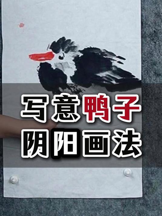 577大写意鸭子的阴阳画法