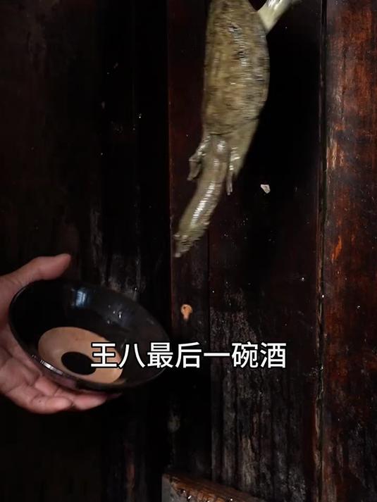 取甲鱼血用白酒搅匀,一道传统的甲鱼血酒就好了