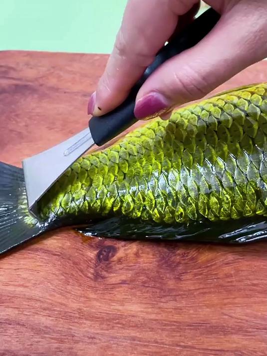 没想到给鱼去鳞这么简单，用这个鱼鳞刀，一刮就搞定