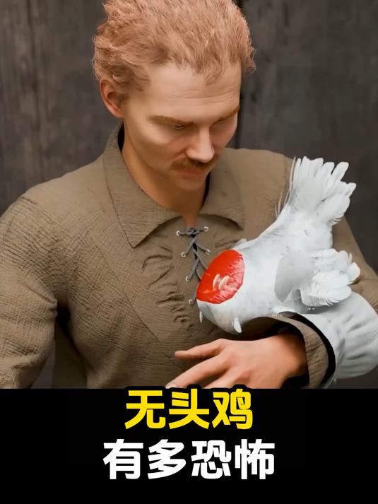 无头鸡有多恐怖