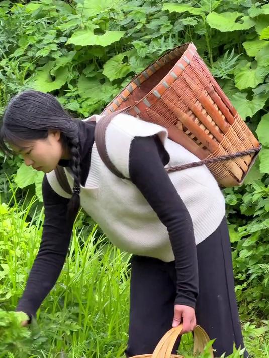 这么多野菜快来看看你们认识有几种 农村美食 乡村守护人 新农