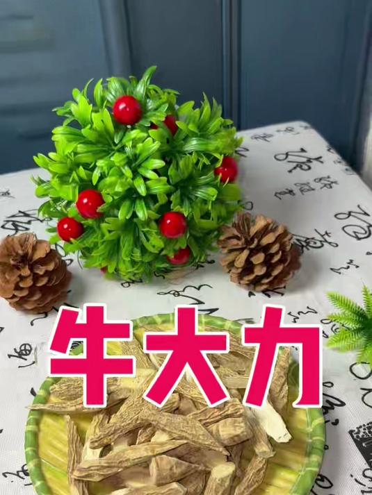 牛大力煲汤 搭配金樱子肉风流果泡酒#养生日常##金樱子泡酒##中医养生小妙招##中医养生#