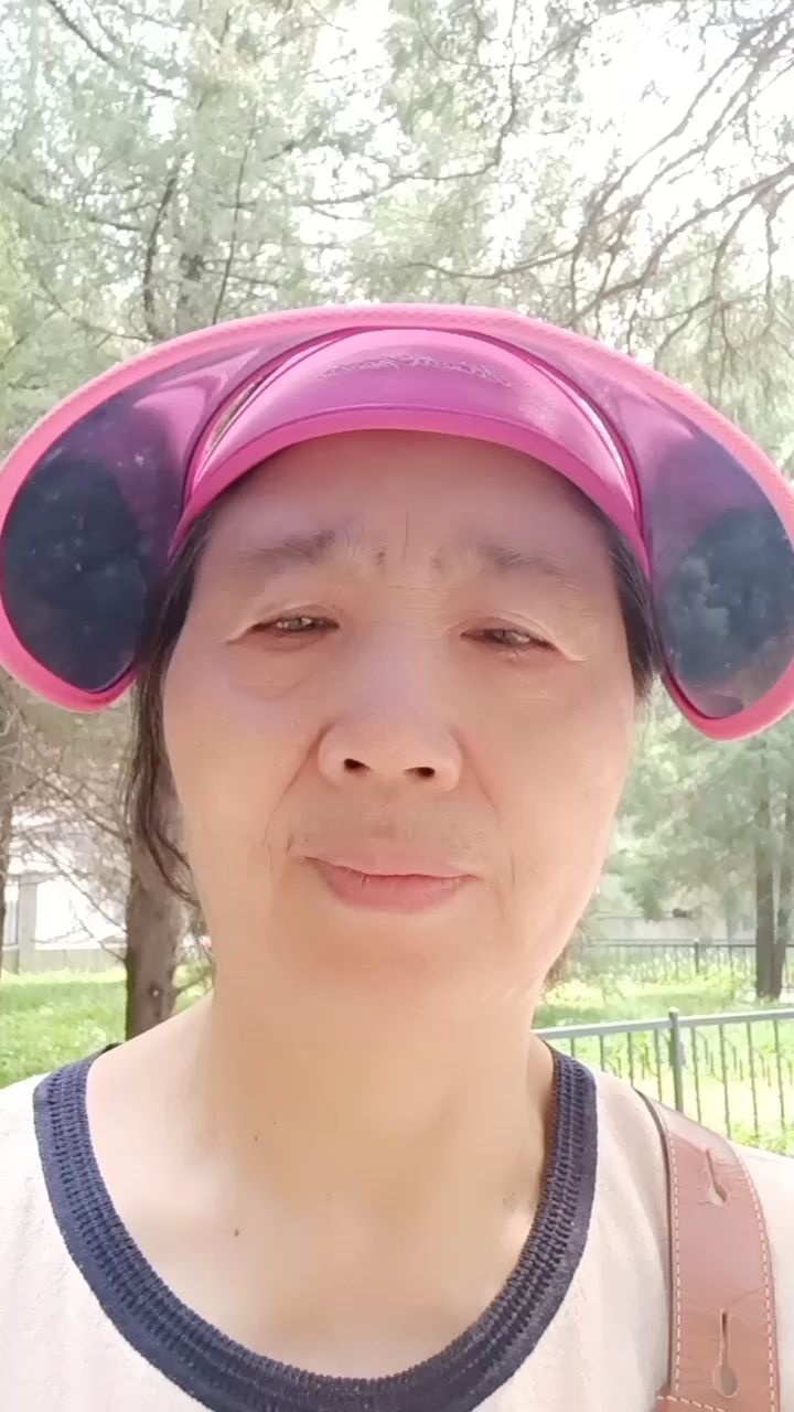 蝶恋花.答李淑一