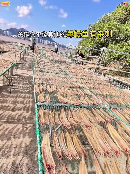 市场 1 斤 25+!正宗渔民鳗鱼干 8 斤 15.9,咸香入味不齁咸