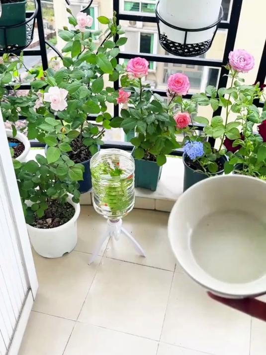 三角支架倒置养鱼矿泉水瓶自制鱼缸水循环养鱼神器
