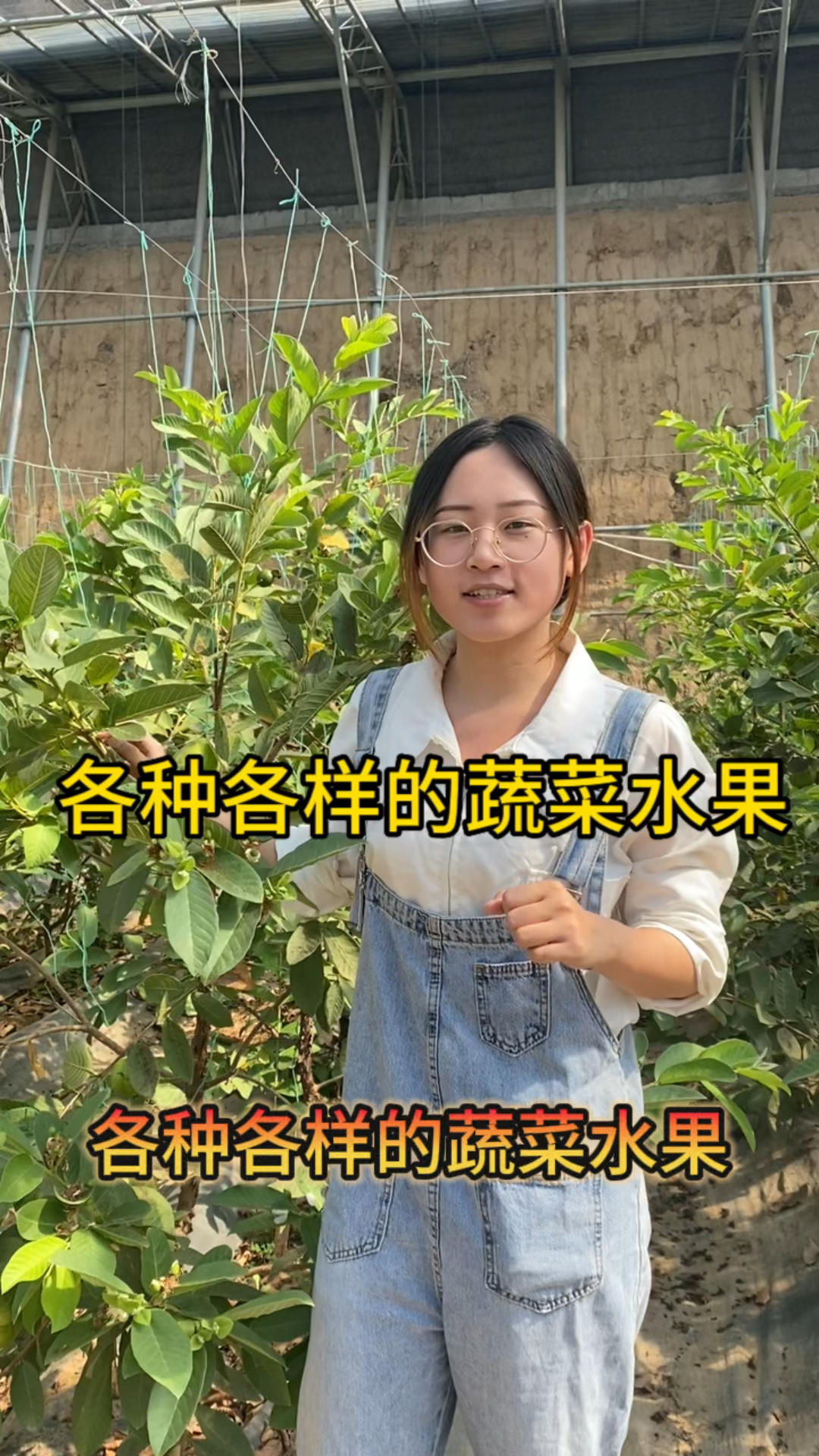 各种各样的蔬菜水果