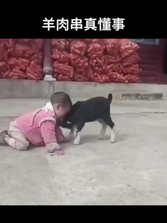 #优质视频激励计划#羊肉串真懂事