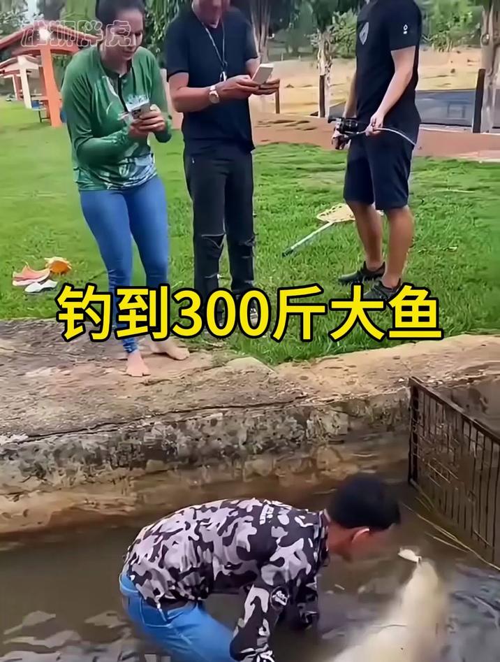 男子钓到300斤大鱼,却无力将大鱼送上岸