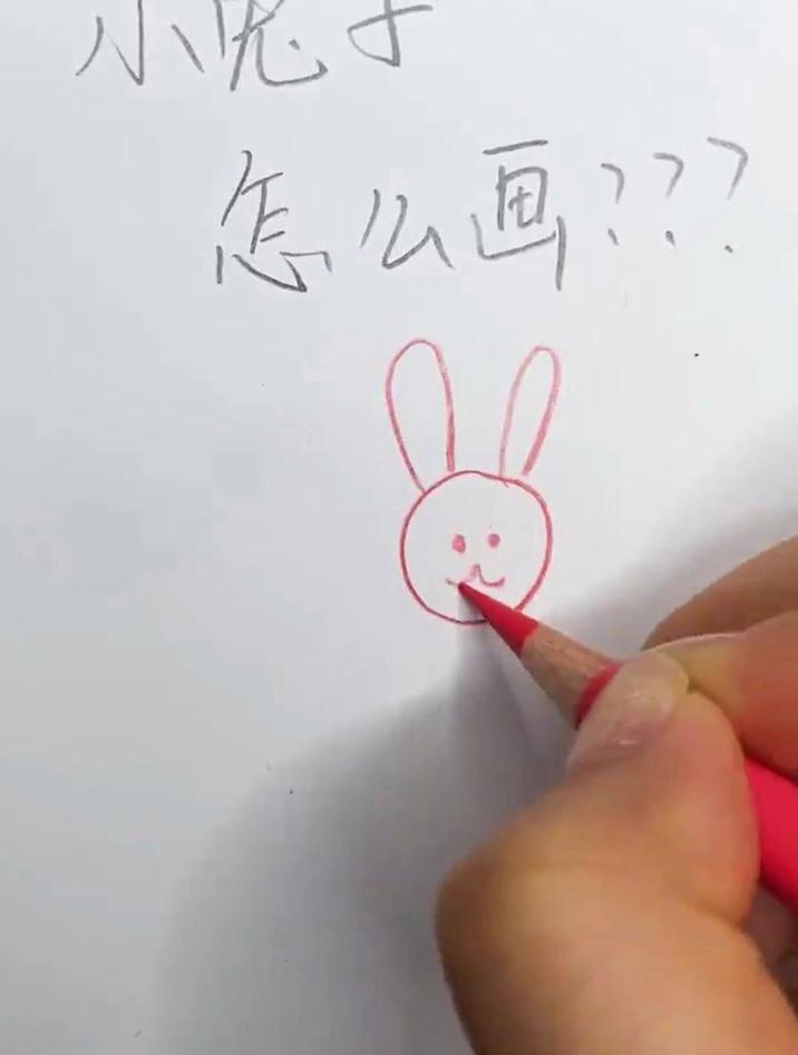 兔子简笔画彩色