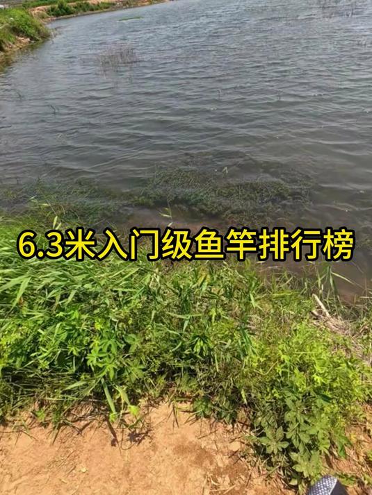 6.3米入门鱼竿哪家强？最新排行榜揭晓