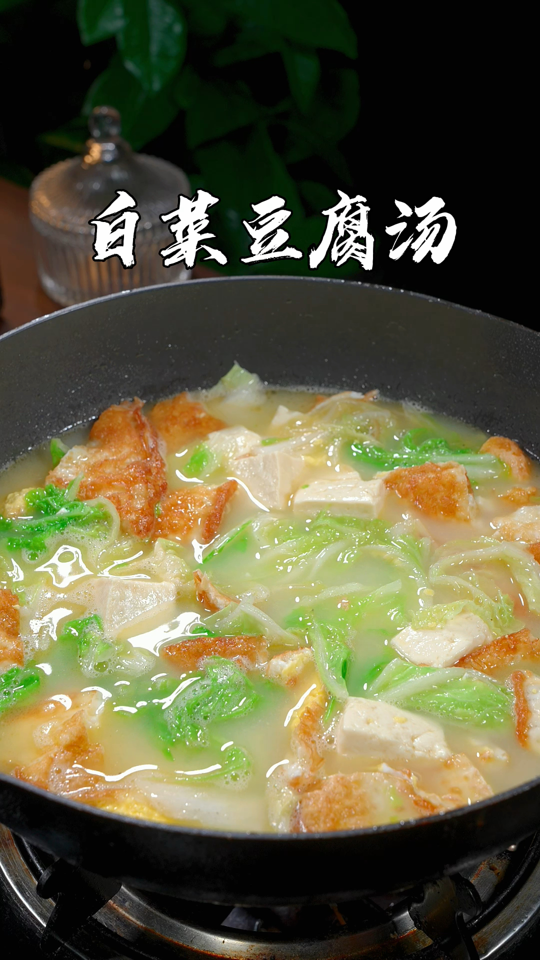 爷爷8岁告诉我,夏天要多喝这个白菜豆腐汤,营养又美味