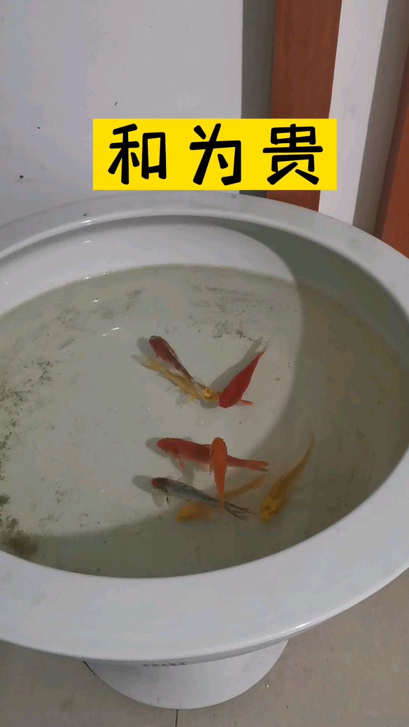 和为贵,是一种心态,是一种品质