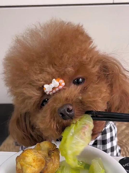 今天吃烤鸡腿小青菜!