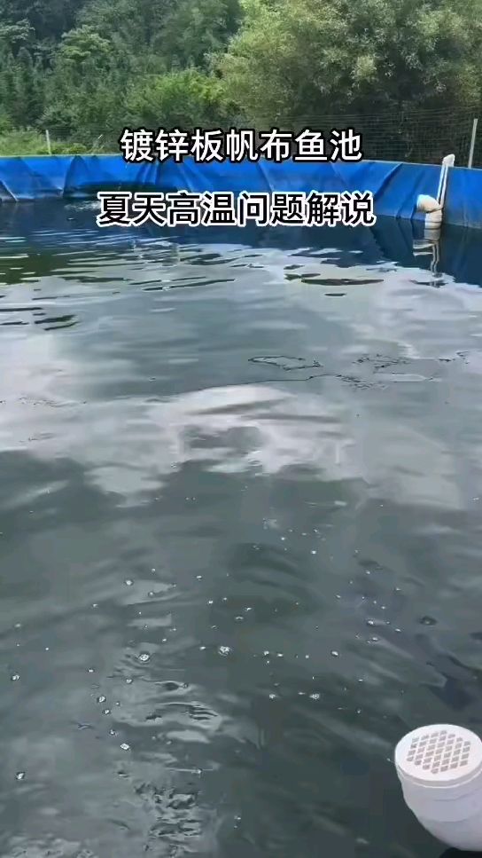 淡水养殖鲈鱼用帆布水池圆形饭镀锌板帆帆布鱼池
