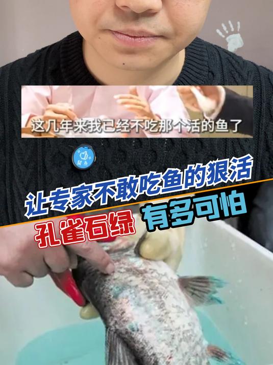 市场里鱼鲜活的秘密,禁用孔雀石绿为什么经常被查出,有多可怕