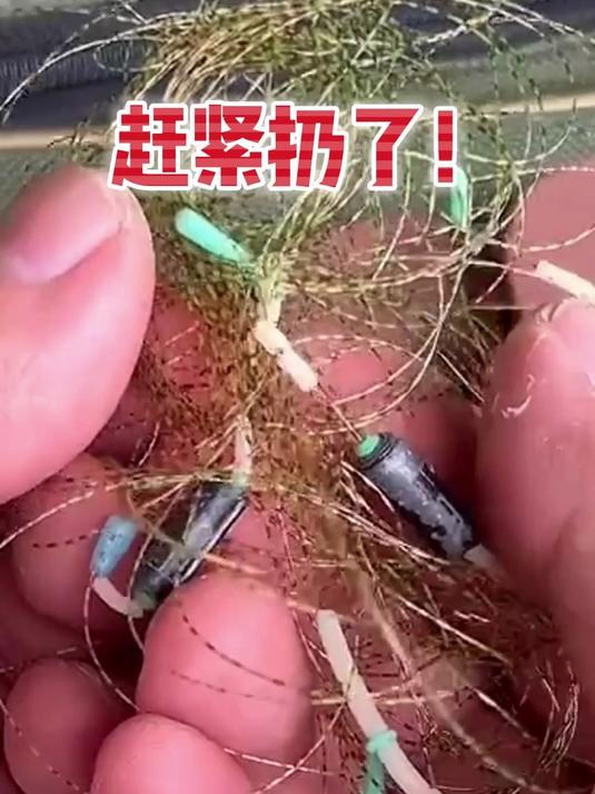 谁懂啊美人鱼斑点主线阻手工精做，卡位精准钓鱼超顺手