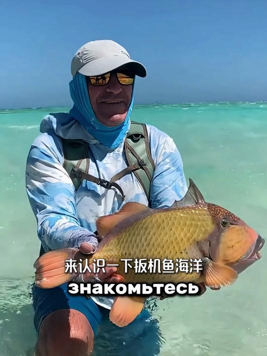 这鱼才是海洋街溜子