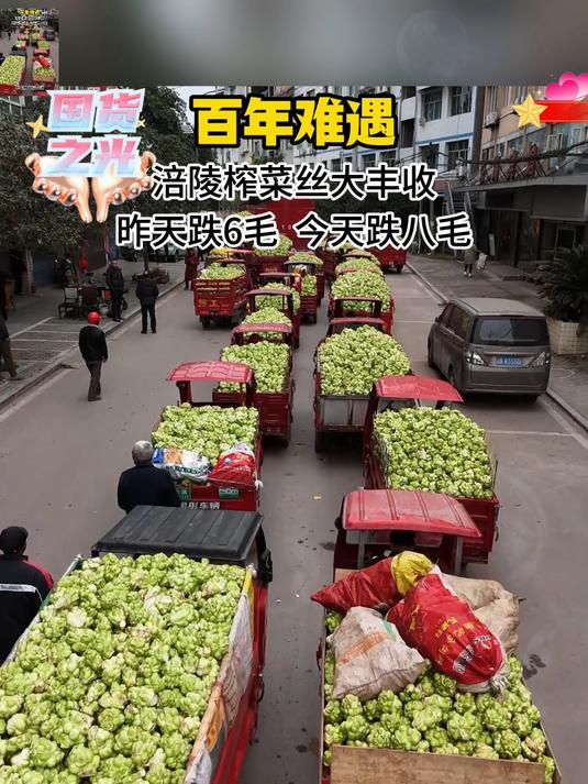 找到一个好吃的下饭菜鲜嫩脆爽的榨菜丝