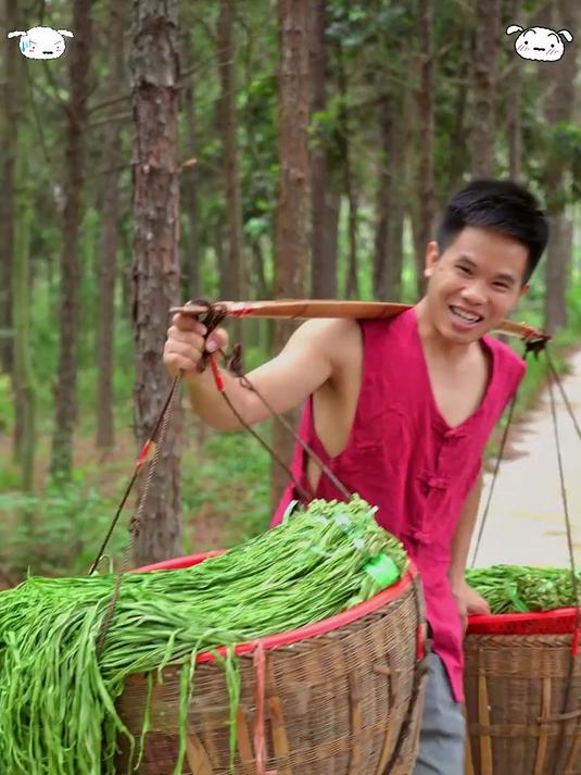 丰收季贡菜,富含纤维,低热量高营养,健康美味之选!
