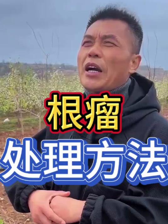 根瘤怎么办,用什么药