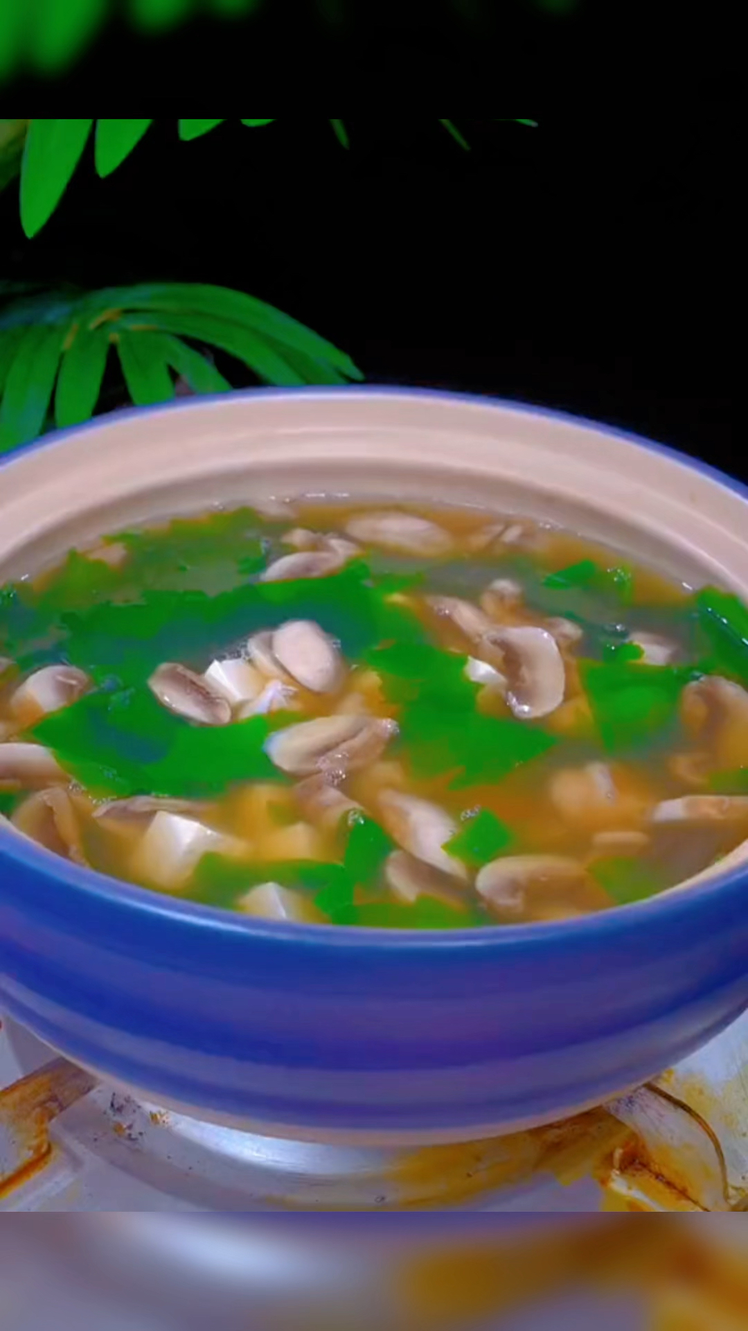 给孩子做一个这样的口蘑汤、汤鲜味美、好喝又营养、你也去给孩子做起来吧。