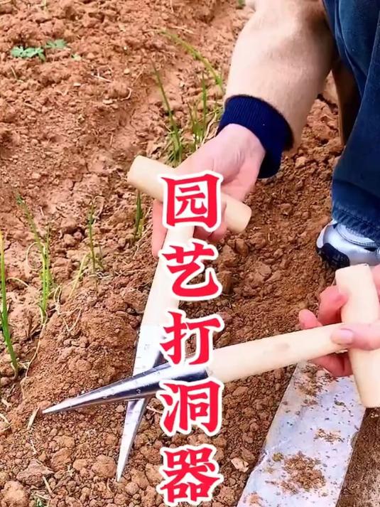 园艺打洞器,T型施肥,种菜种子移苗种植工具!木柄追肥打孔器!