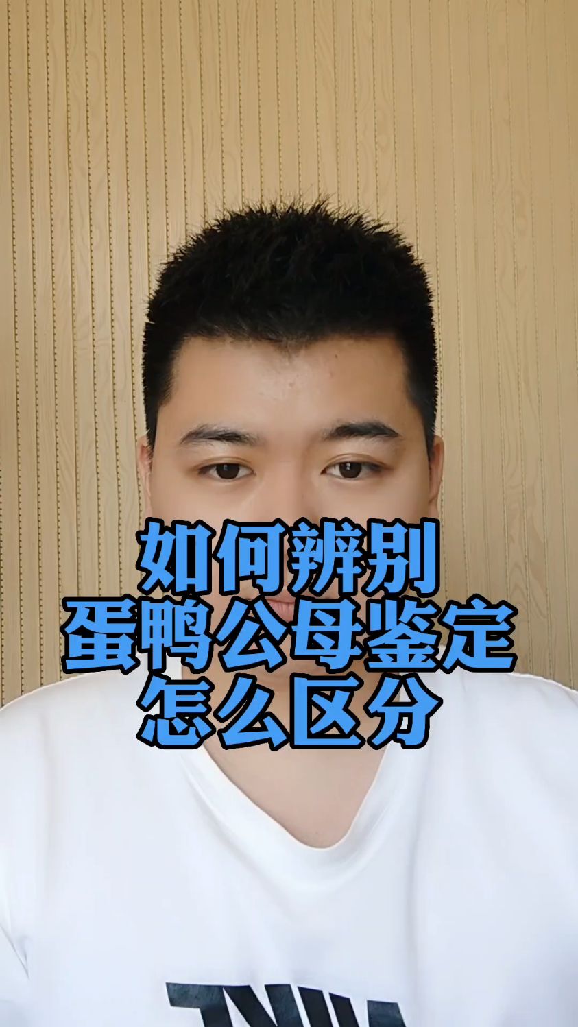 #樱桃谷种鸭公母怎么区分樱桃谷鸭是公鸭还是母鸭怎么样区分公鸭和母鸭怎么看