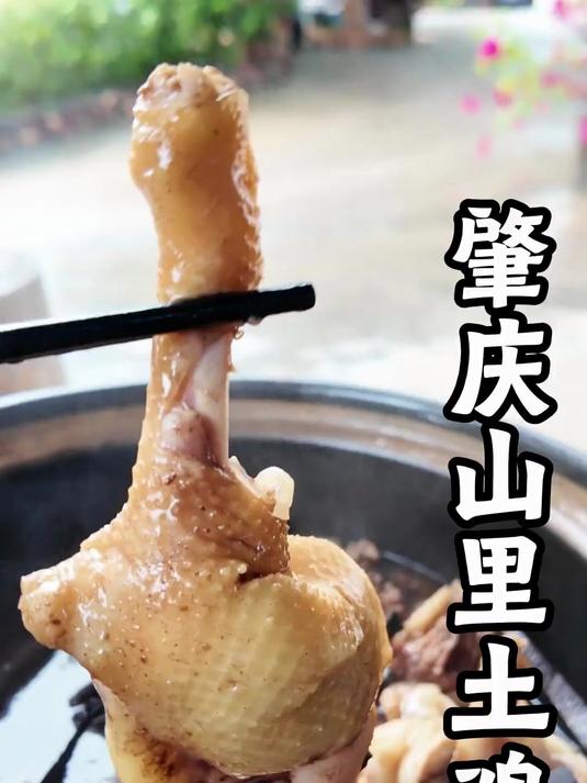 肇庆广宁山脚下吃168一只灵芝鸡,鸡肉紧实汤很好喝