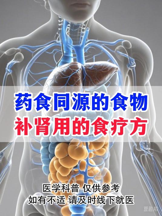 补肾的食疗方法,药食同源的食物,你知道哪些?